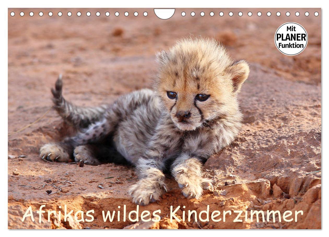 Cover: 9783435524785 | Afrikas wildes Kinderzimmer (Wandkalender 2025 DIN A4 quer),...