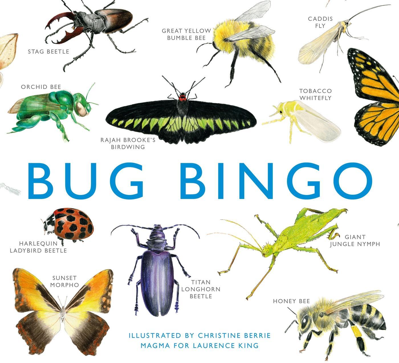 Cover: 9781856699402 | Bug Bingo | Spiel | Magma | 64 farbige Illustr. | Englisch | 2014