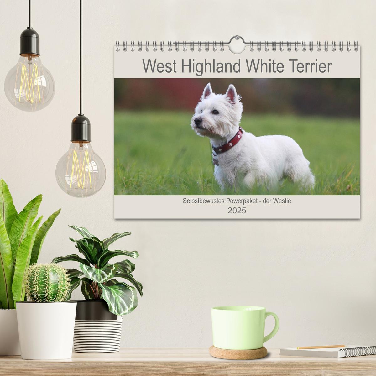 Bild: 9783435408665 | West Highland White Terrier - Selbstbewustes Powerpaket - der...