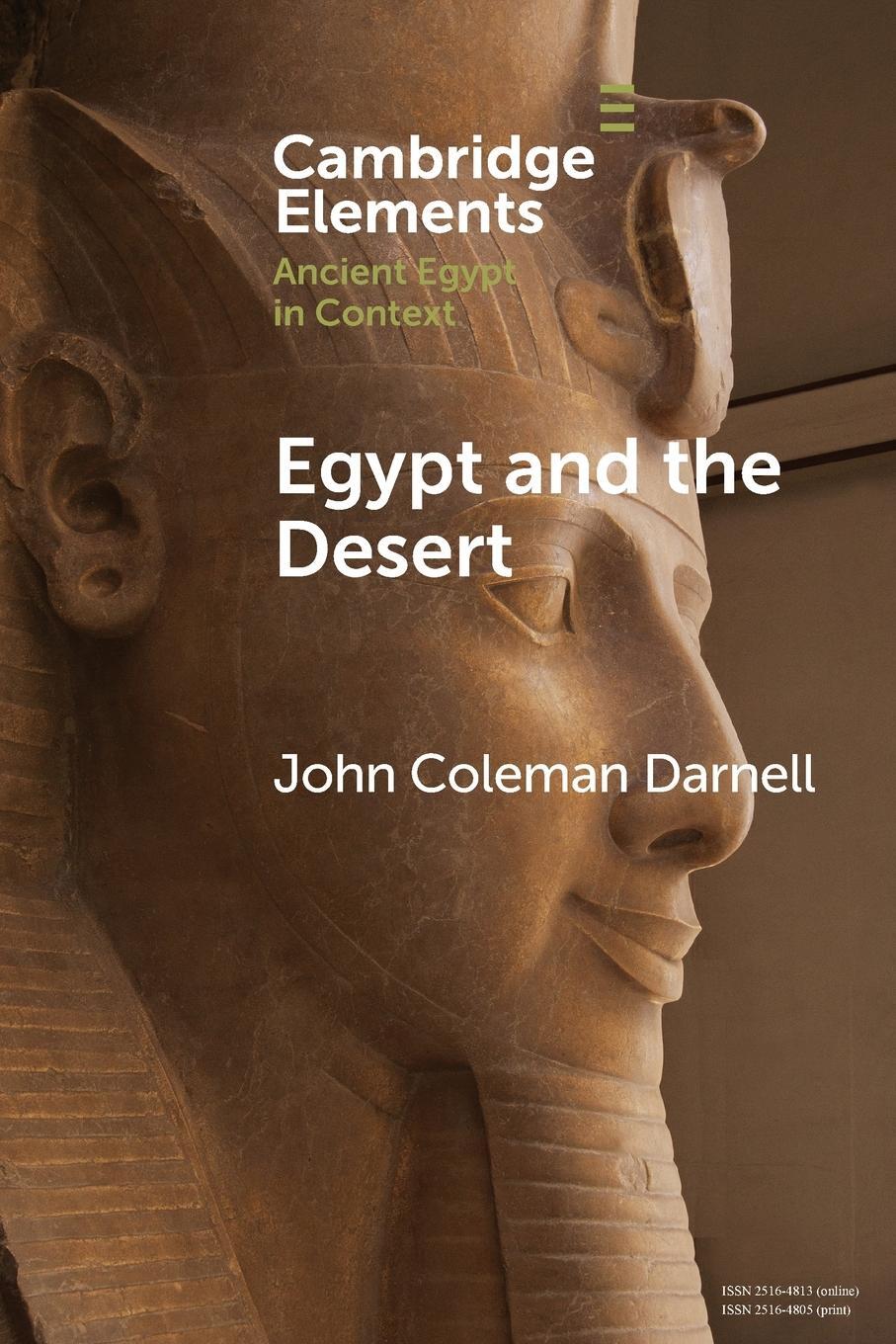 Cover: 9781108820530 | Egypt and the Desert | John Coleman Darnell | Taschenbuch | Paperback