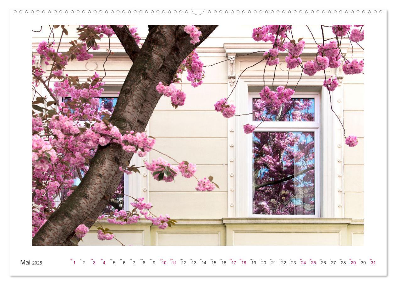 Bild: 9783457127919 | Japanische Kirschblüte in Bonn (Wandkalender 2025 DIN A2 quer),...