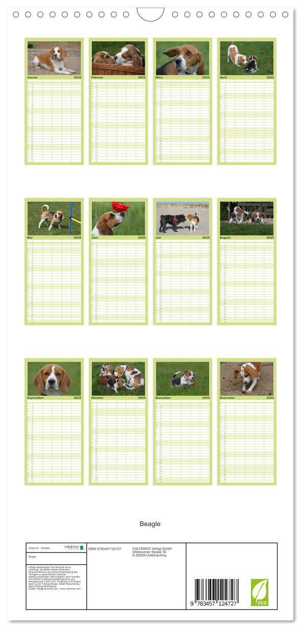 Bild: 9783457124727 | Familienplaner 2025 - Beagle mit 5 Spalten (Wandkalender, 21 x 45...