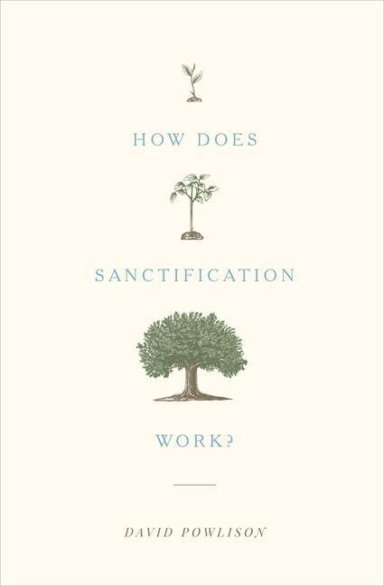 Cover: 9781433556104 | How Does Sanctification Work? | David Powlison | Taschenbuch | 2017