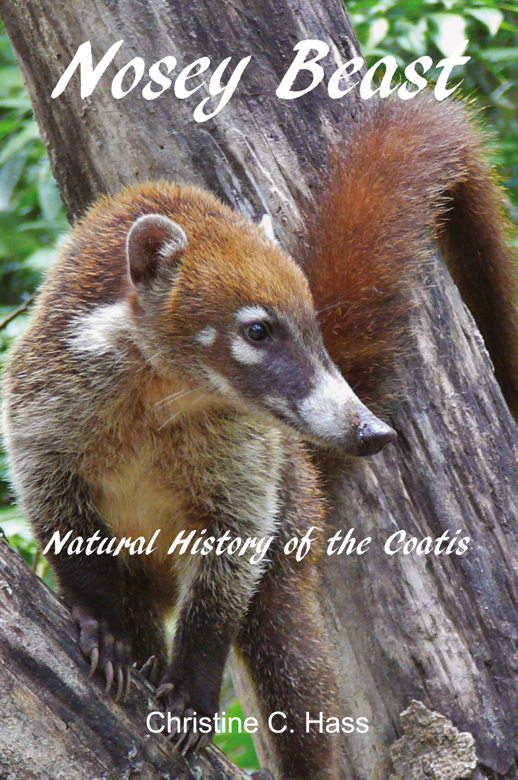 Cover: 9781736606308 | Nosey Beast | Natural history of the coatis | Christine C Hass | Buch