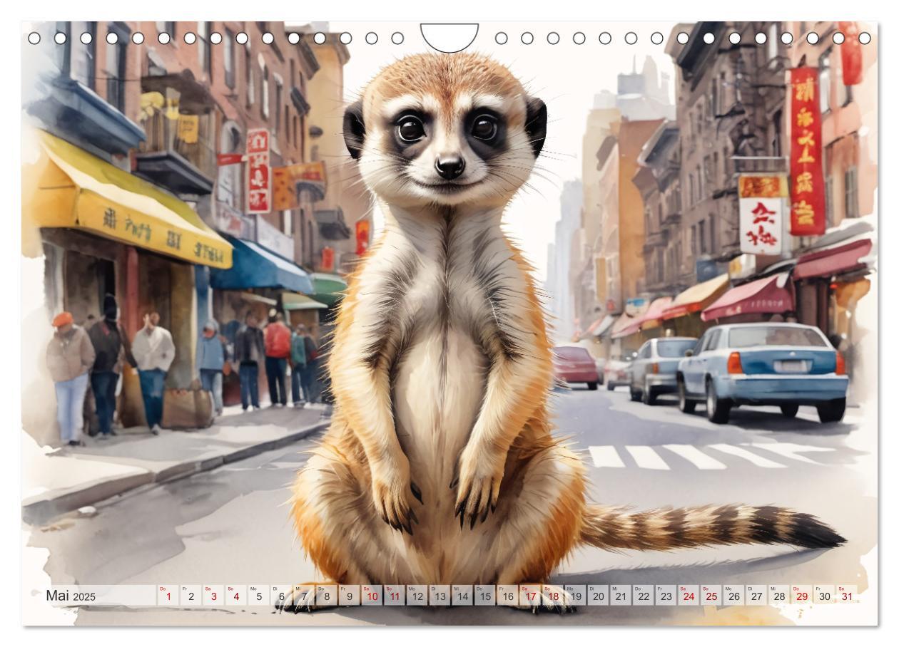 Bild: 9783383797880 | Erdmännchen in New York City (Wandkalender 2025 DIN A4 quer),...