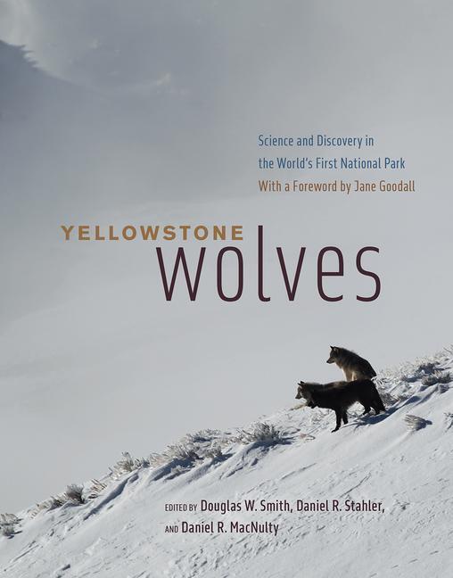 Cover: 9780226728346 | Yellowstone Wolves | Daniel R Macnulty (u. a.) | Buch | Gebunden