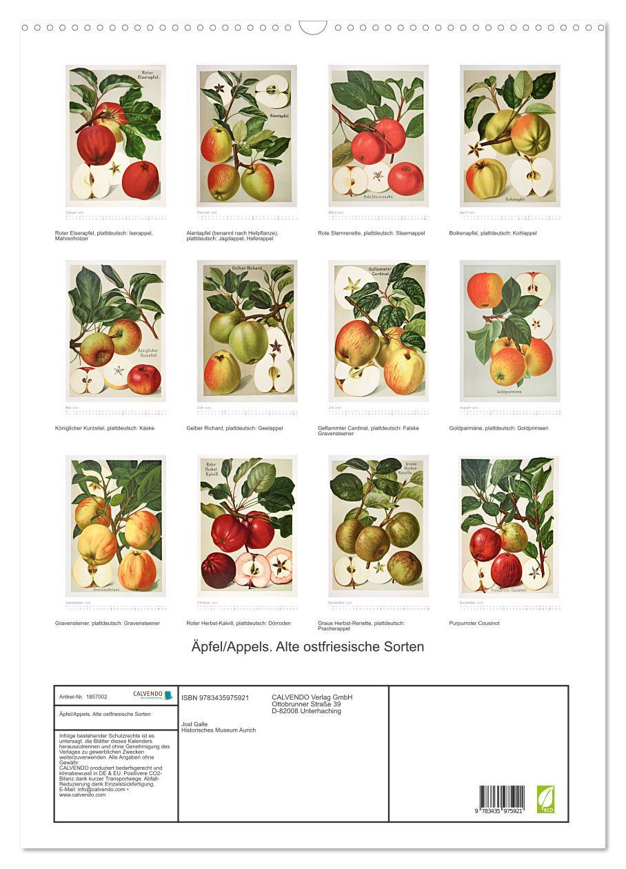 Bild: 9783435975921 | Äpfel/Appels. Alte ostfriesische Sorten (Wandkalender 2025 DIN A2...