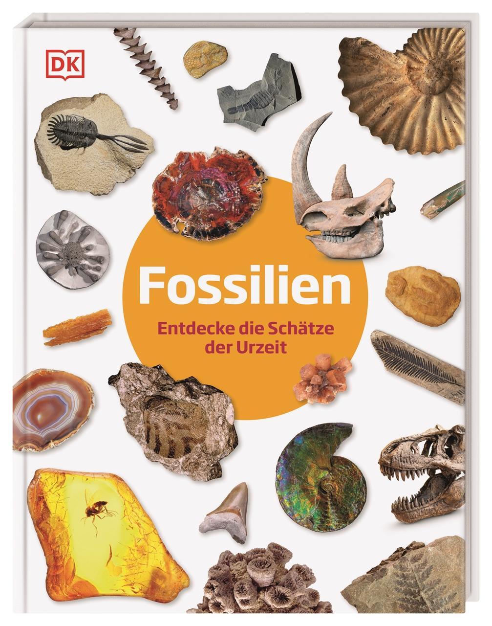 Cover: 9783831044610 | Fossilien | Entdecke die Schätze der Urzeit | Dean Lomax | Buch | 2022