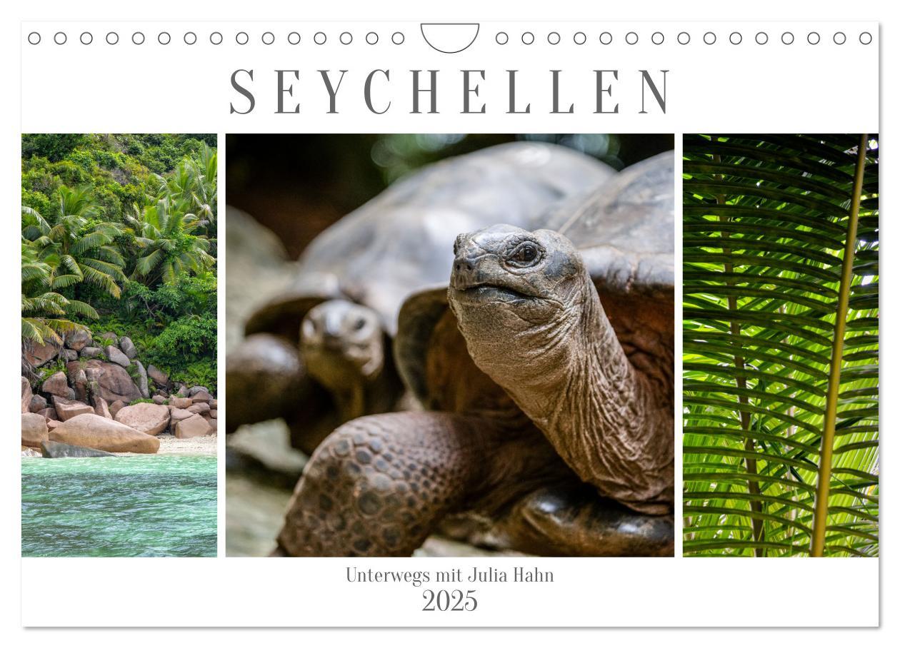 Cover: 9783457196939 | Seychellen - unterwegs mit Julia Hahn (Wandkalender 2025 DIN A4...