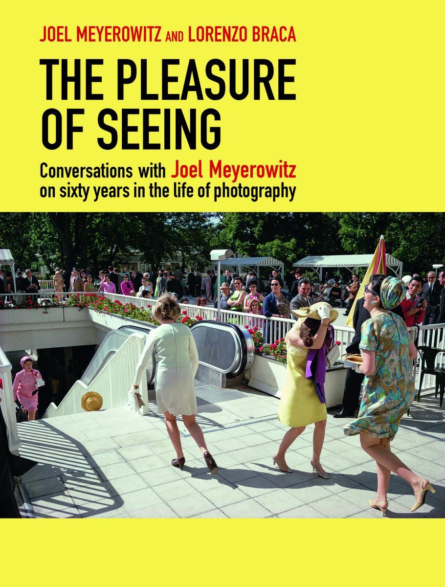 Bild: 9788862087933 | The Pleasure of Seeing | Buch | Englisch | 2023 | Thames & Hudson