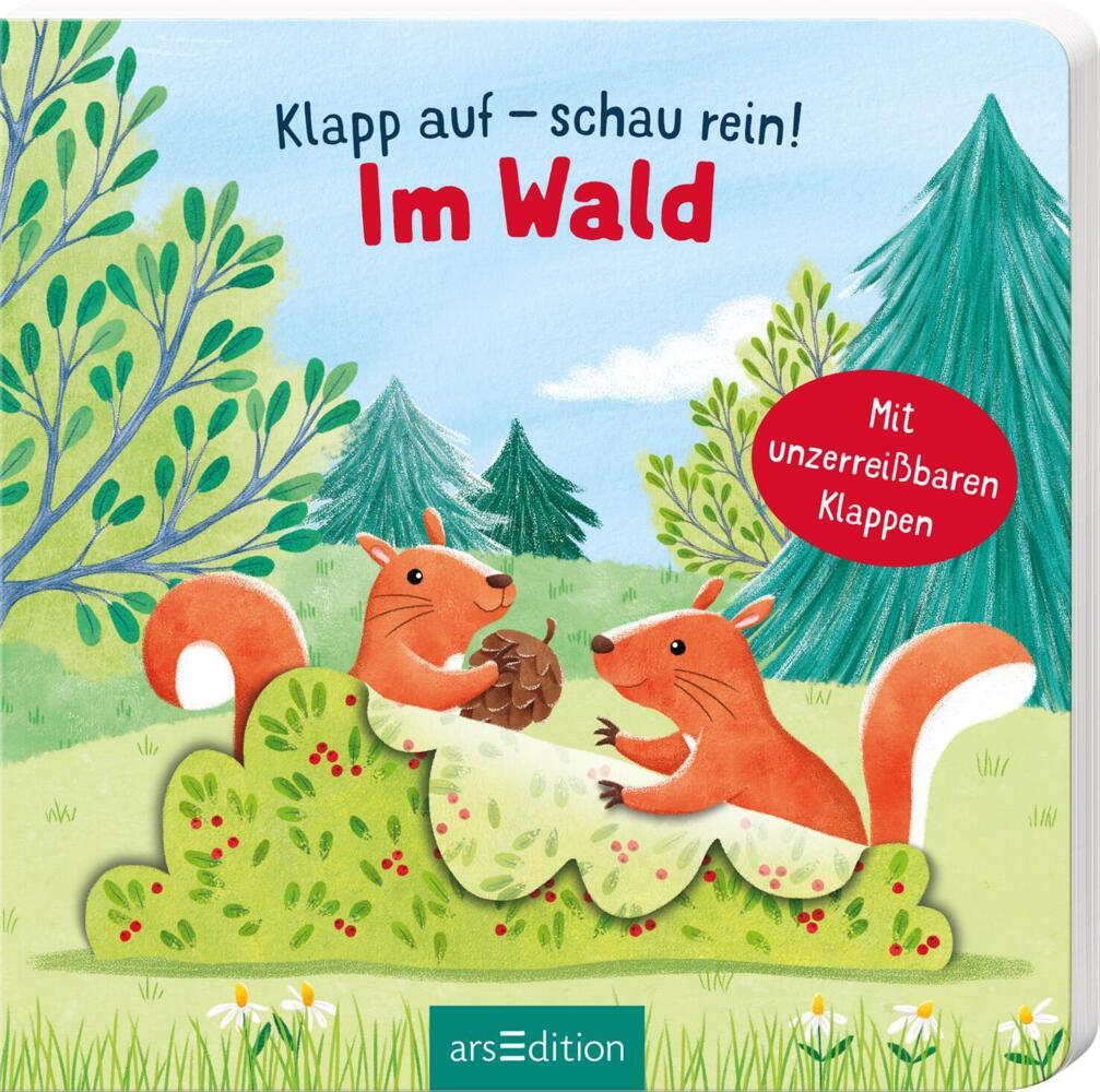 Cover: 9783845842073 | Klapp auf - schau rein: Im Wald | Mit unzerreißbaren Klappen | Costa