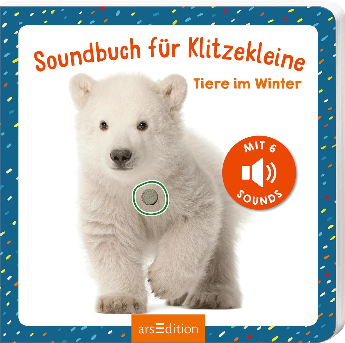 Cover: 9783845858531 | Soundbuch für Klitzekleine - Tiere im Winter | Buch | 12 S. | Deutsch