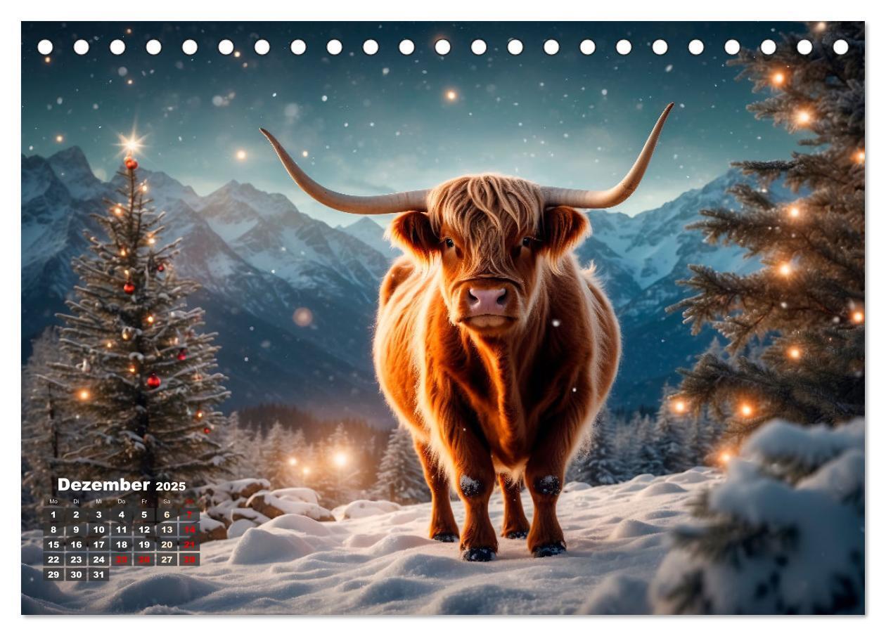 Bild: 9783383841309 | Highland Kühe (Tischkalender 2025 DIN A5 quer), CALVENDO...