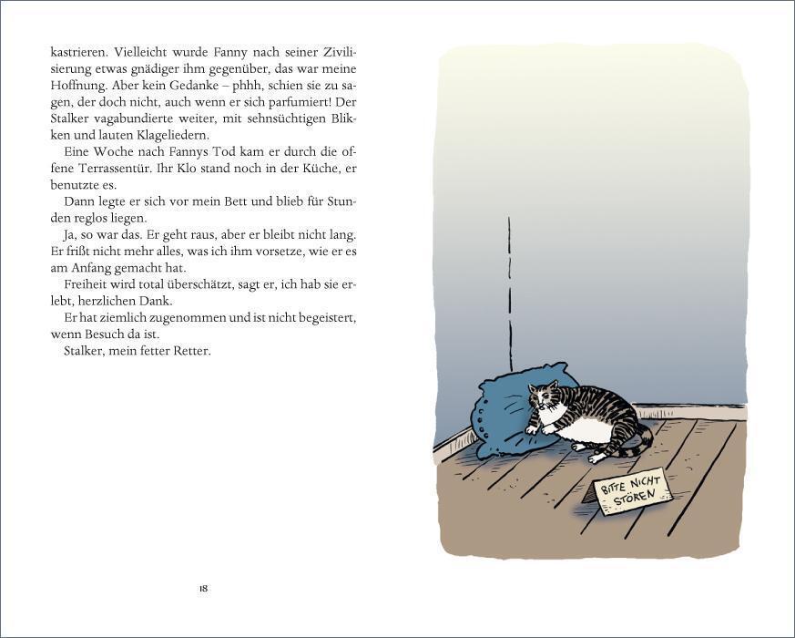 Bild: 9783458361114 | Katzentreffen | Eva Demski | Buch | 104 S. | Deutsch | 2015