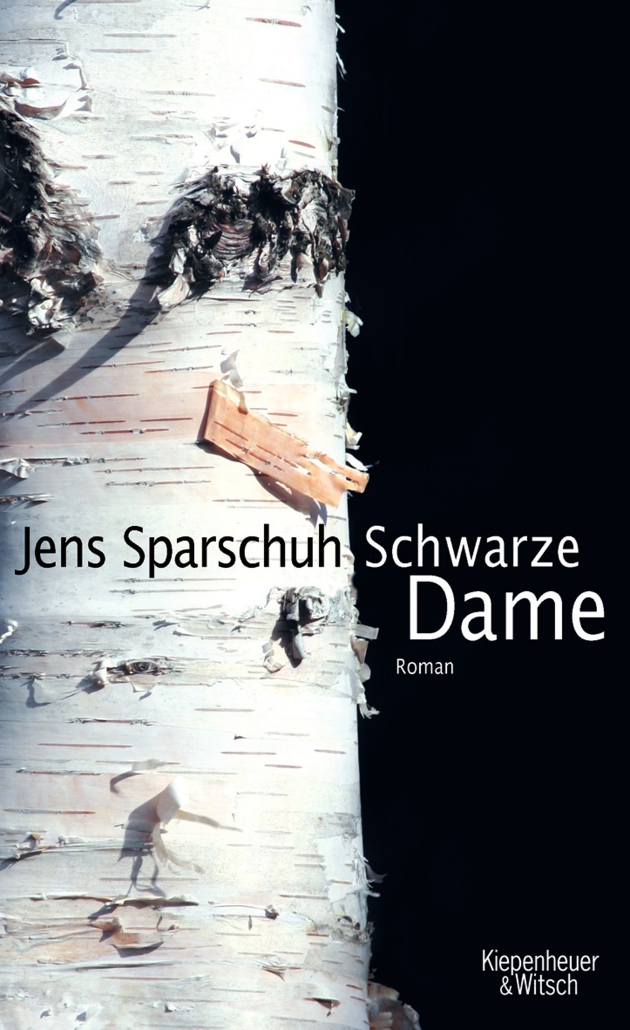 Cover: 9783462039139 | Schwarze Dame | Roman | Jens Sparschuh | Buch | 352 S. | Deutsch