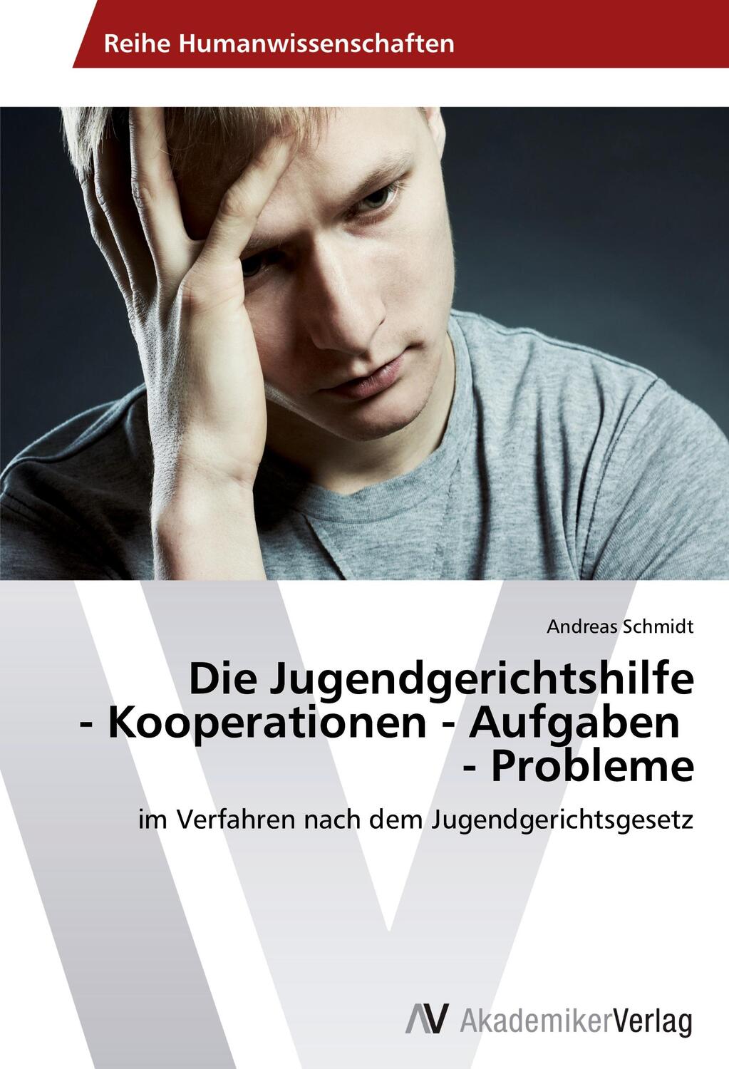 Cover: 9783639457995 | Die Jugendgerichtshilfe - Kooperationen - Aufgaben - Probleme | Buch