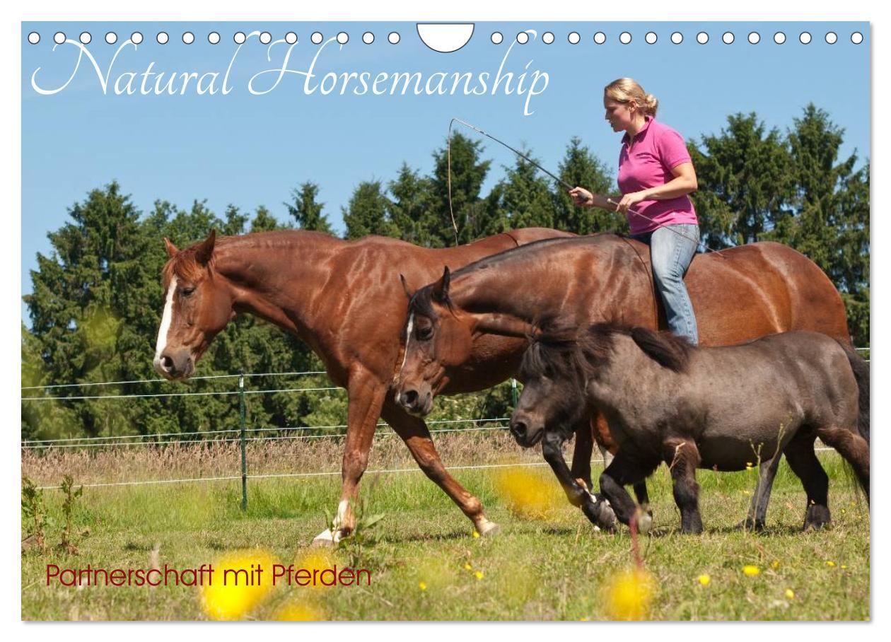 Cover: 9783435594160 | Natural Horsemanship - Partnerschaft mit Pferden (Wandkalender 2025...