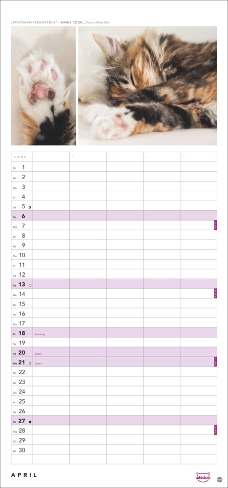 Bild: 9783756405831 | Whiskas Familienplaner 2025 | Kalender | Spiralbindung | 14 S. | 2025