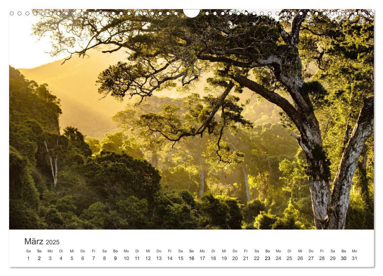 Bild: 9783435057436 | Bezauberndes Südafrika (Wandkalender 2025 DIN A3 quer), CALVENDO...