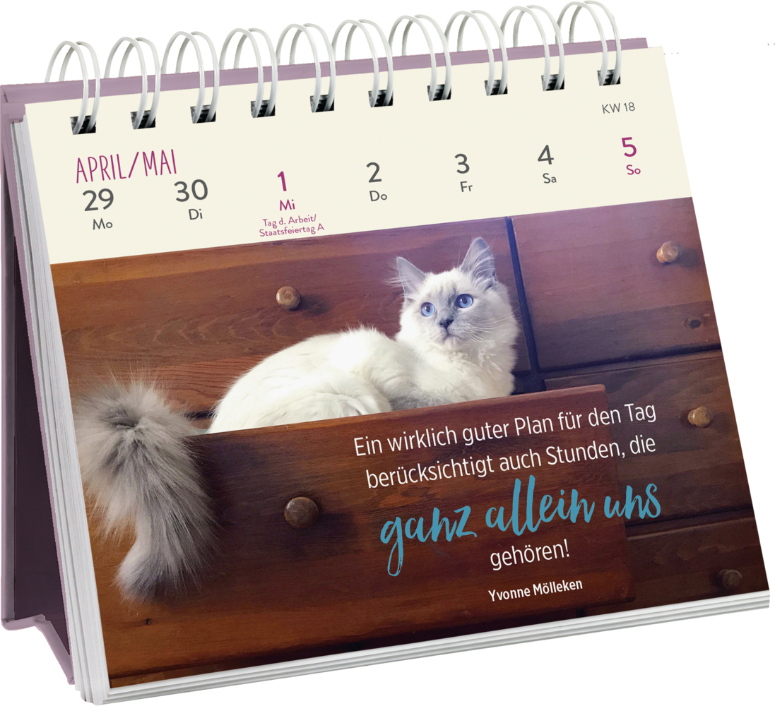 Bild: 4036442010648 | Mini-Wochenkalender 2024: Für Katzenfreunde | Groh Verlag | Kalender