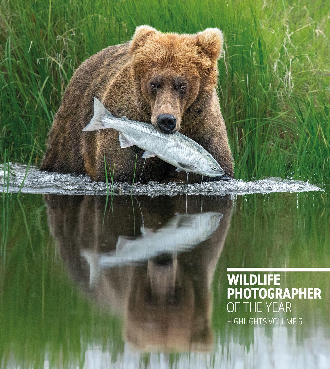 Cover: 9780565094935 | Wildlife Photographer of the Year: Highlights Volume 6, Volume 6 | Cox