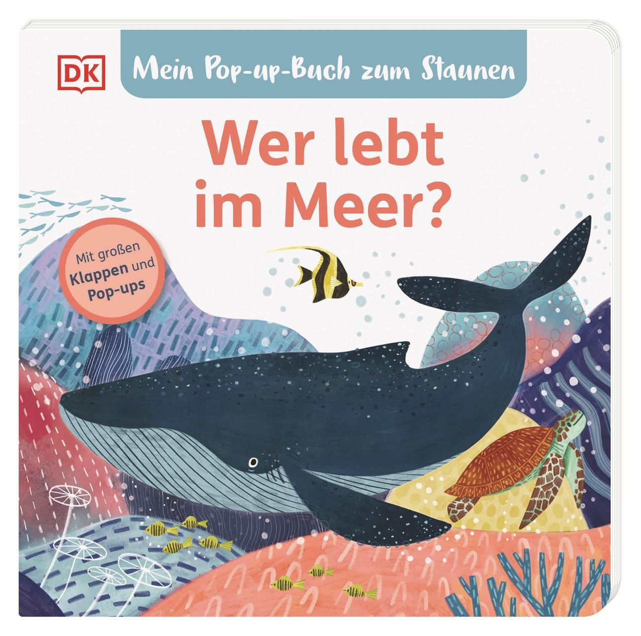 Cover: 9783831047130 | Mein Pop-up-Buch zum Staunen. Wer lebt im Meer? | Sandra Grimm | Buch