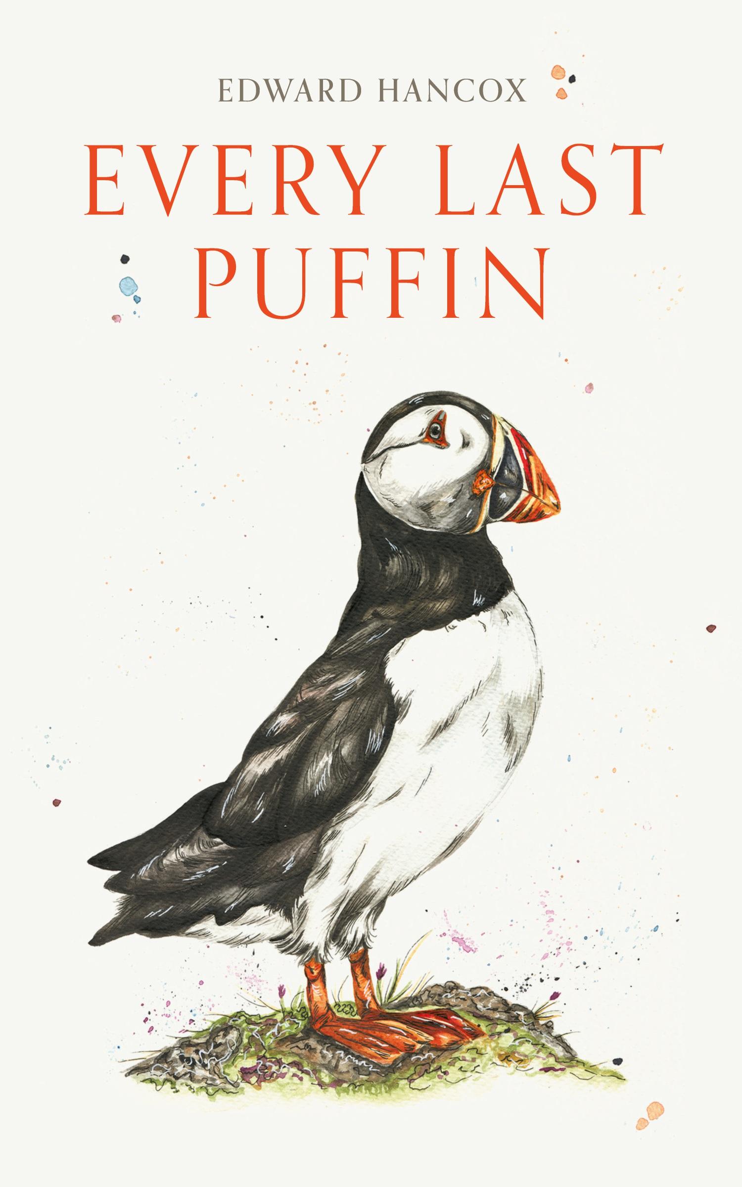 Cover: 9781800420311 | Every Last Puffin | Edward Hancox | Taschenbuch | Paperback | Englisch