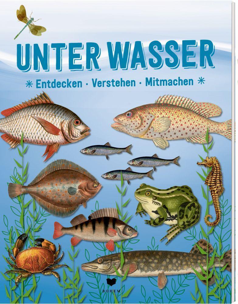 Cover: 9783959392198 | UNTER WASSER | Entdecken Verstehen Mitmachen | Roots | Buch | Deutsch