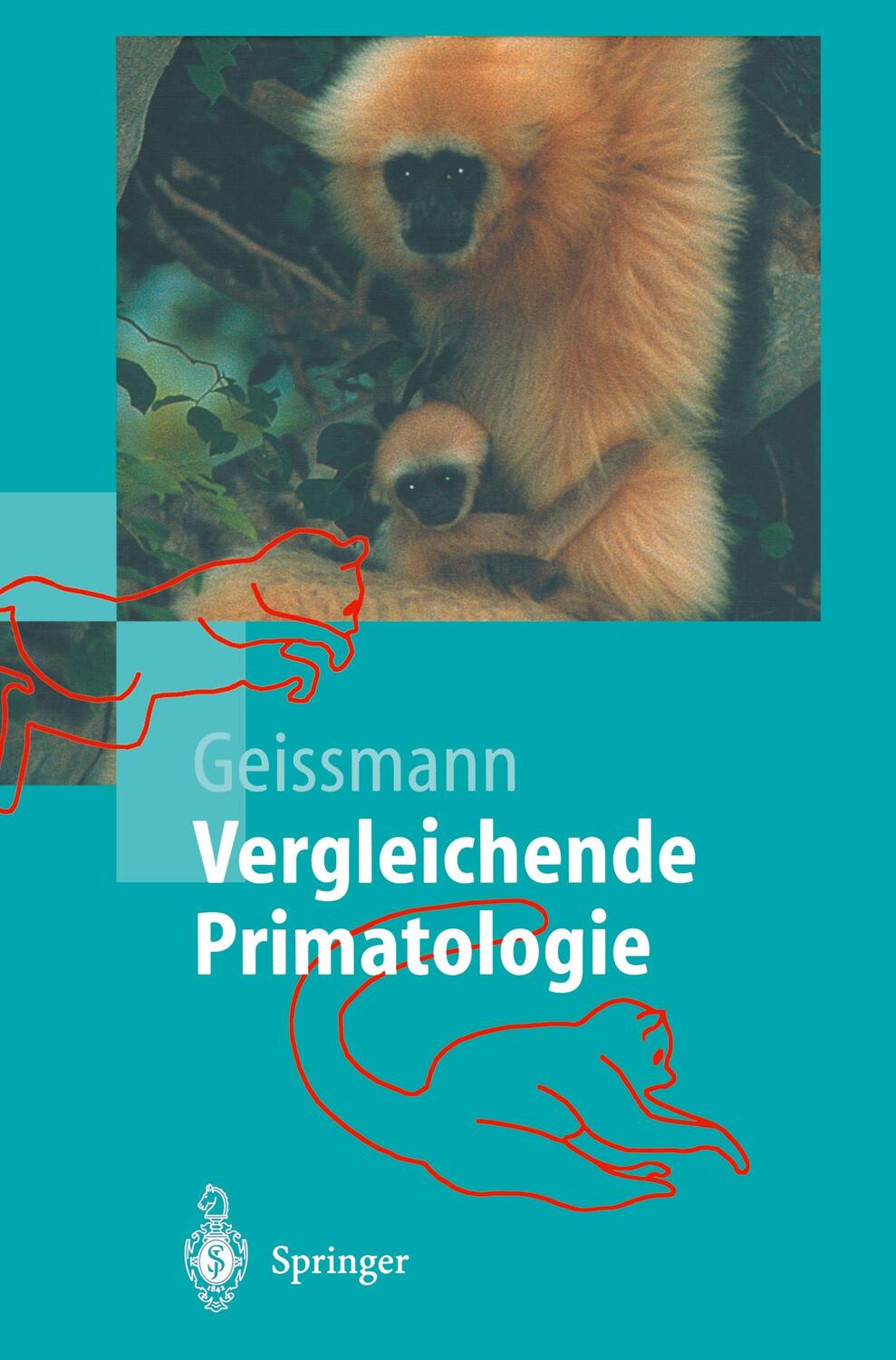 Cover: 9783540436454 | Vergleichende Primatologie | Thomas Geissmann | Buch | XII | Deutsch
