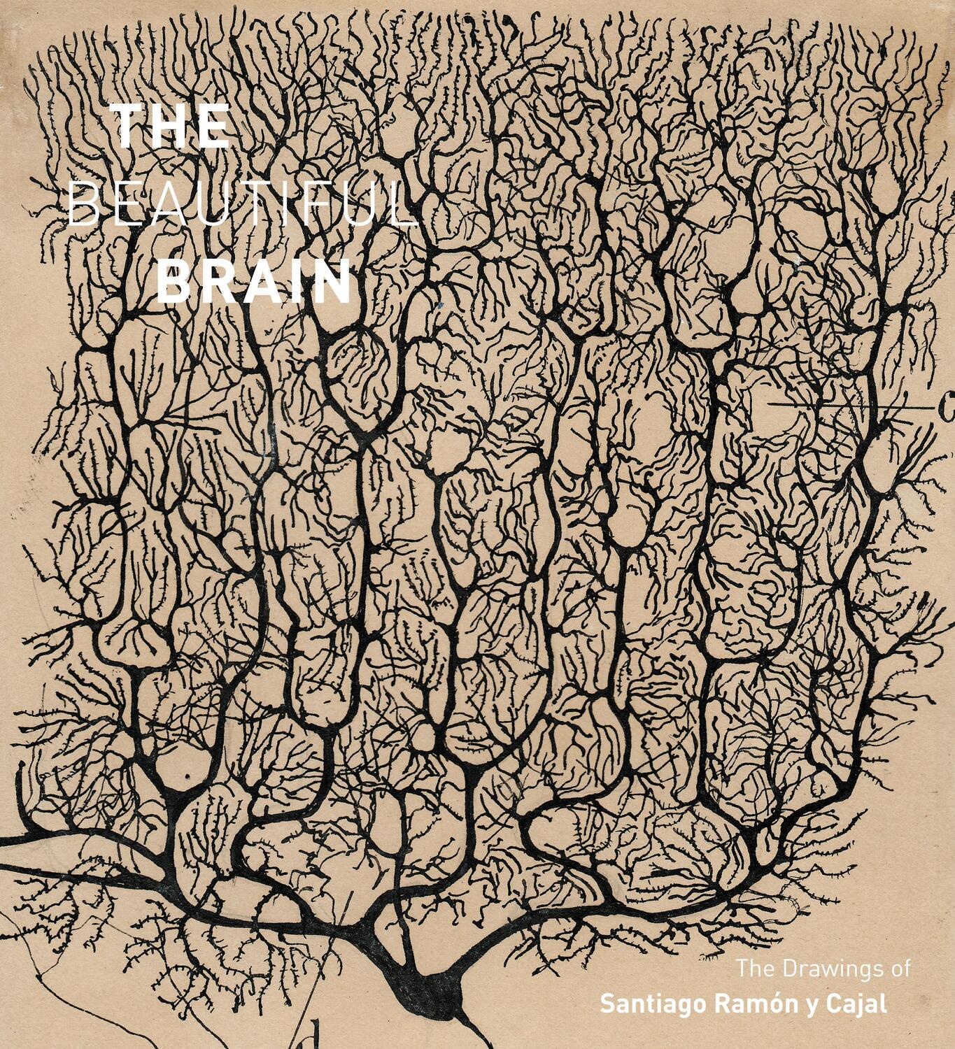 Cover: 9781419722271 | The Beautiful Brain | The Drawings of Santiago Ramon y Cajal | Buch