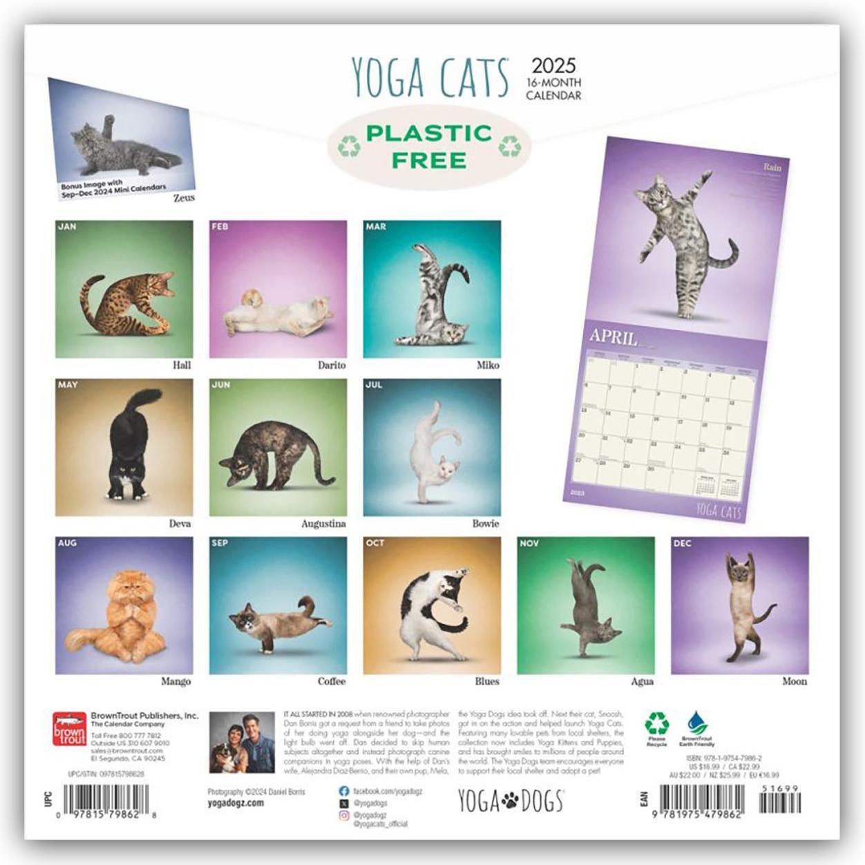 Rückseite: 9781975479862 | Yoga Cats - Yoga-Katzen 2025 - 16-Monatskalender | Publisher | 14 S.