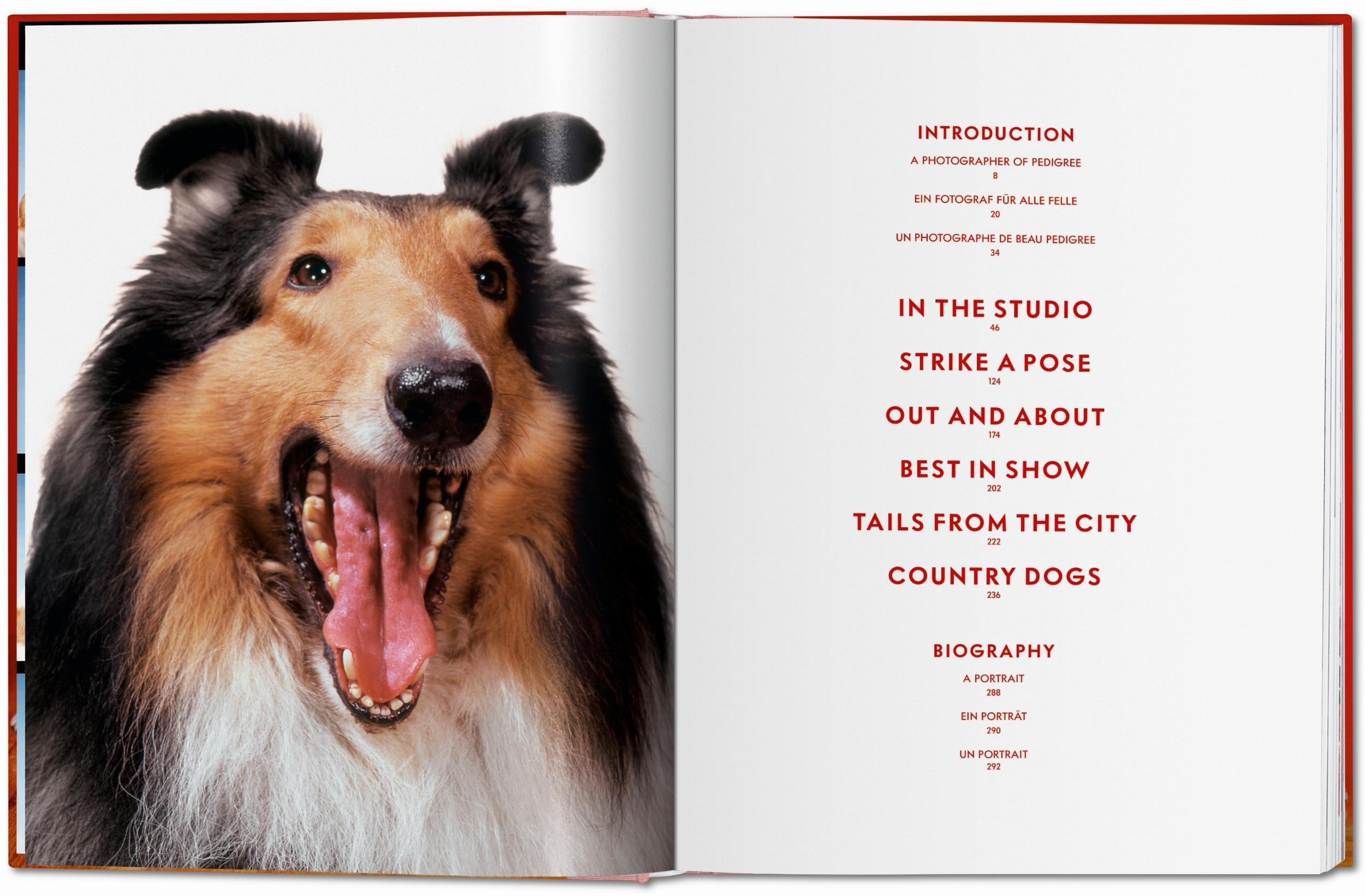 Bild: 9783836584296 | Walter Chandoha. Dogs. Photographs 1941-1991 | Reuel Golden | Buch