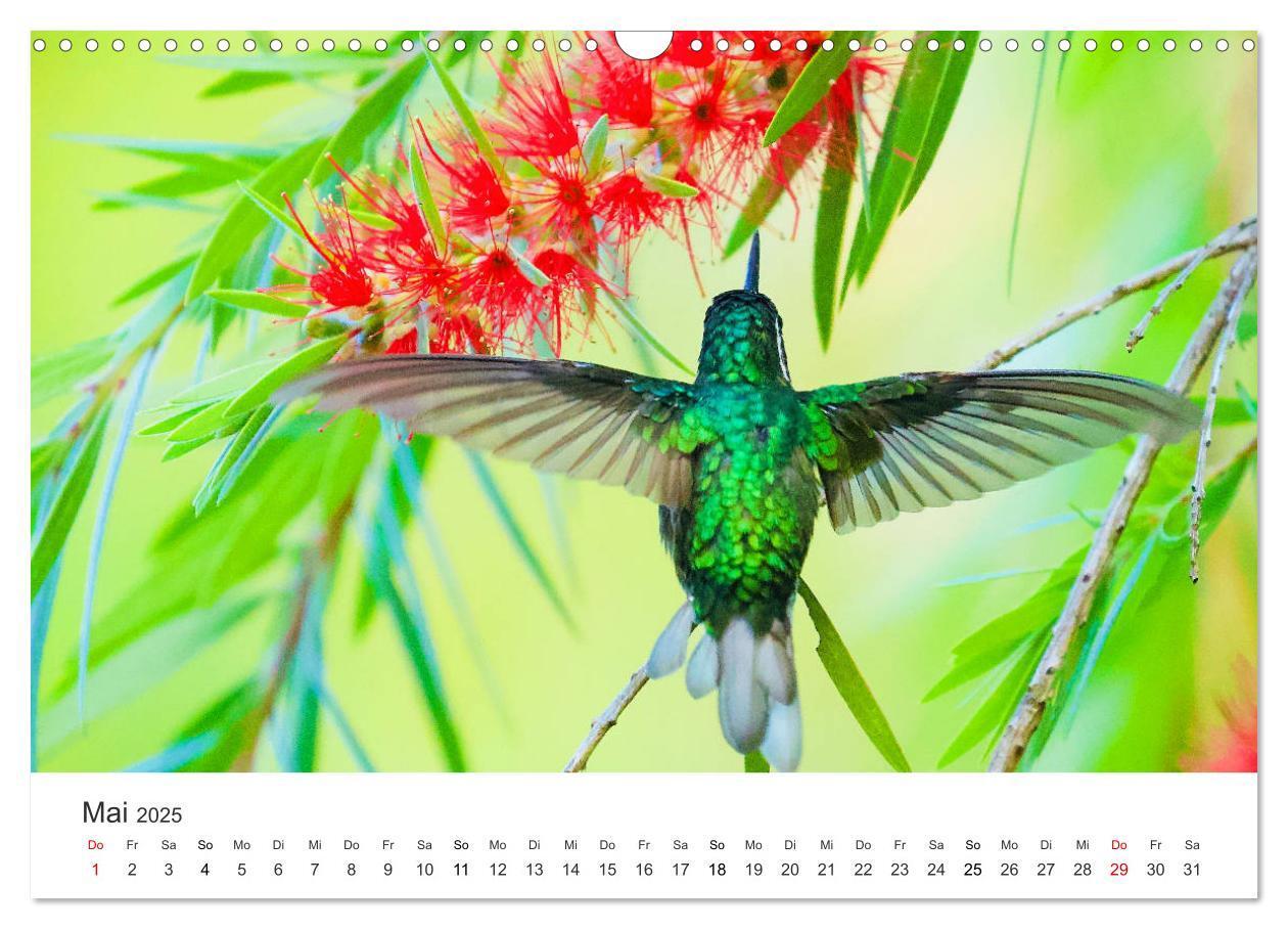 Bild: 9783435153534 | Costa Rica - exotische Tierwelt und unberührte Natur (Wandkalender...