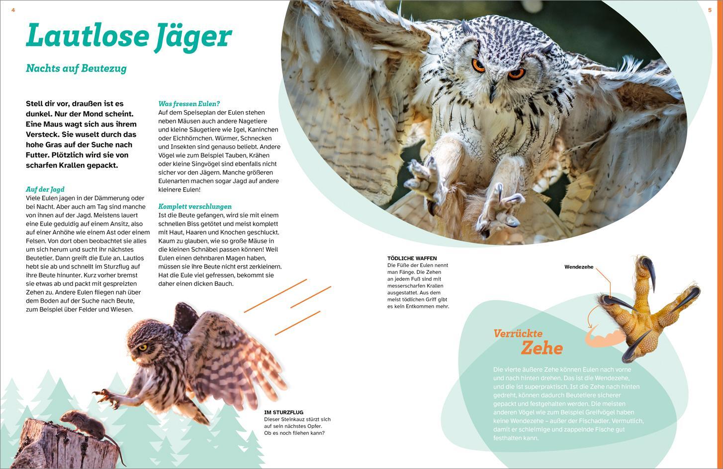 Bild: 9783788677039 | WAS IST WAS Eulen. Jäger mit Supersinnen | Tanja Brandt | Buch | 48 S.