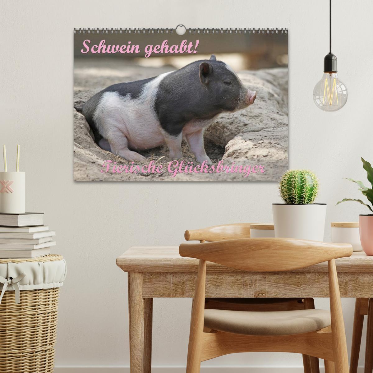 Bild: 9783435778638 | Schwein gehabt! (Wandkalender 2025 DIN A3 quer), CALVENDO...