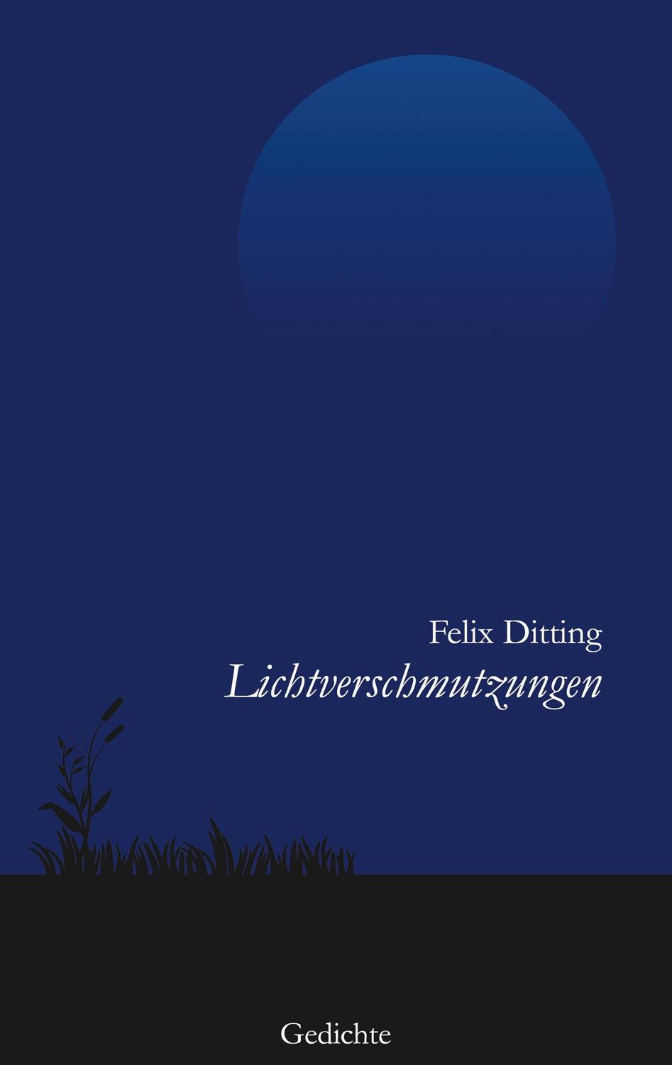 Cover: 9783753425795 | Lichtverschmutzungen | Felix Ditting | Taschenbuch | Paperback | 2021