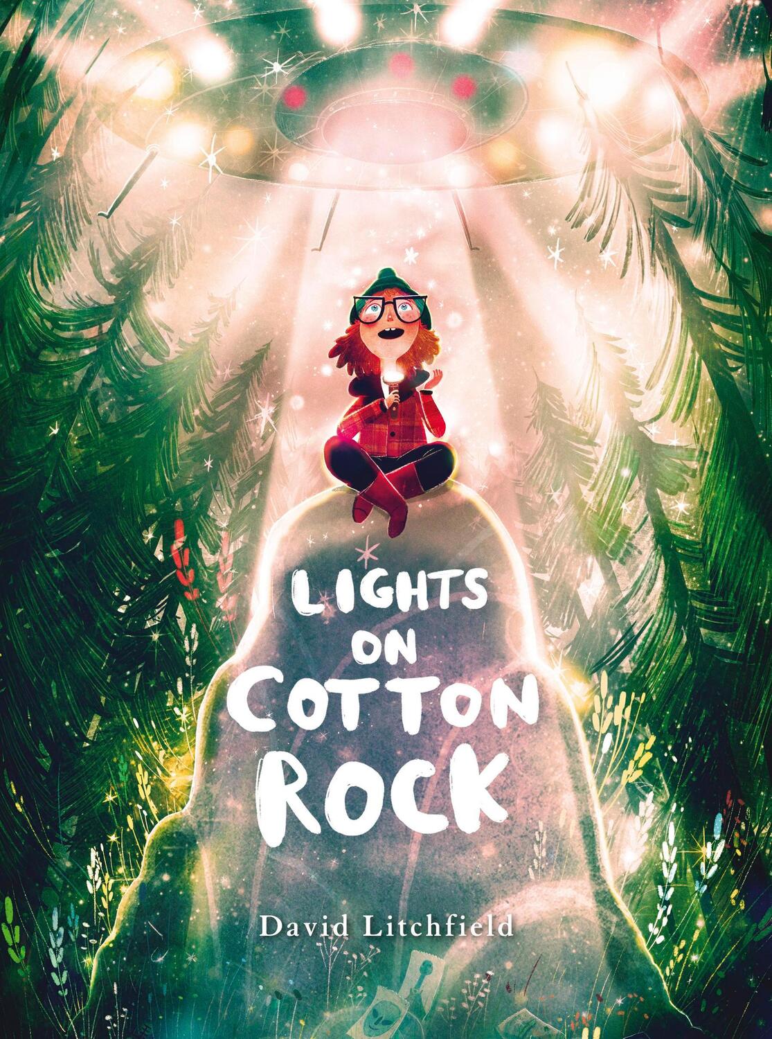 Cover: 9781786033390 | Lights on Cotton Rock | David Litchfield | Taschenbuch | Englisch
