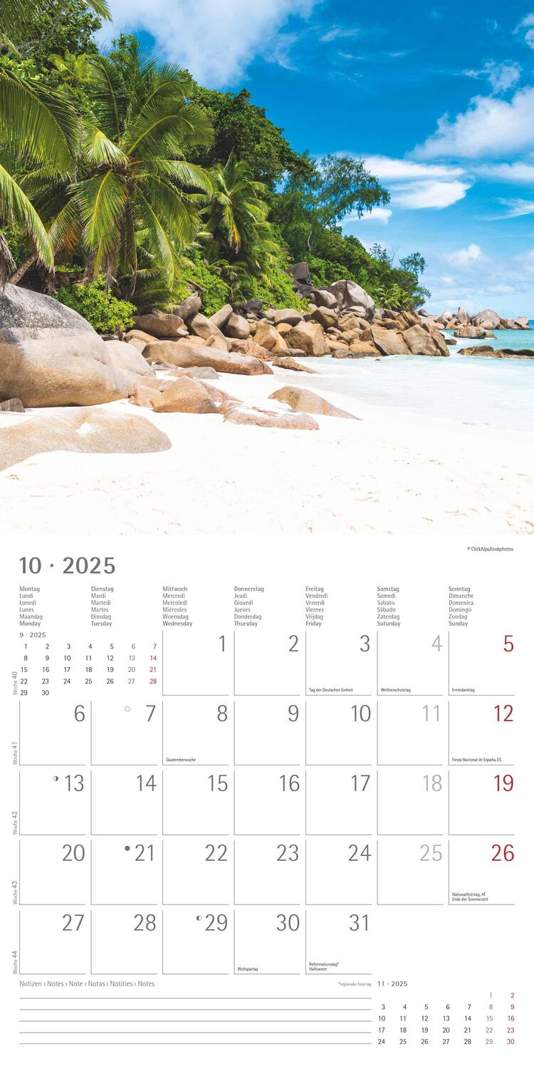 Bild: 4251732340872 | Summer Dreams 2025 - Broschürenkalender 30x30 cm (30x60 geöffnet) -...