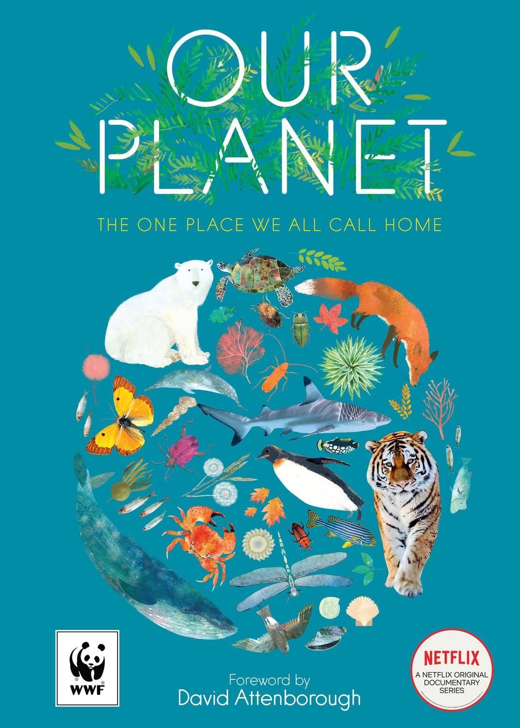 Cover: 9780008560607 | Our Planet | The One Place We All Call Home | Matt Whyman | Buch