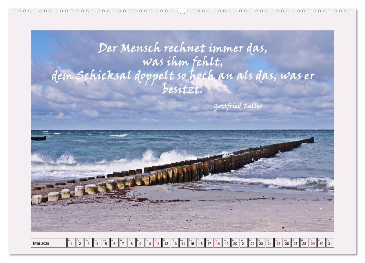 Bild: 9783435297573 | Zitate und Weisheiten (Wandkalender 2025 DIN A2 quer), CALVENDO...