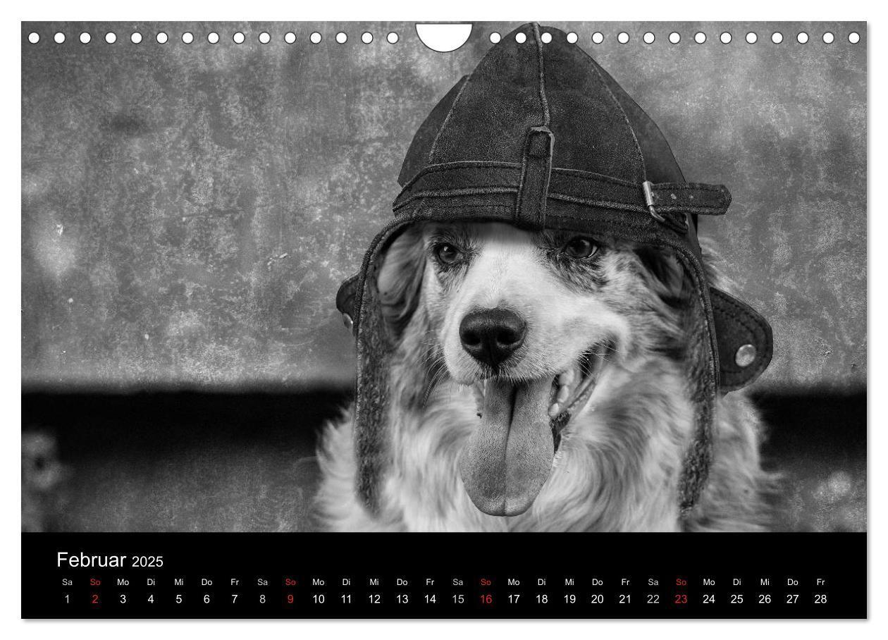 Bild: 9783435781522 | Hütehunde (Wandkalender 2025 DIN A4 quer), CALVENDO Monatskalender