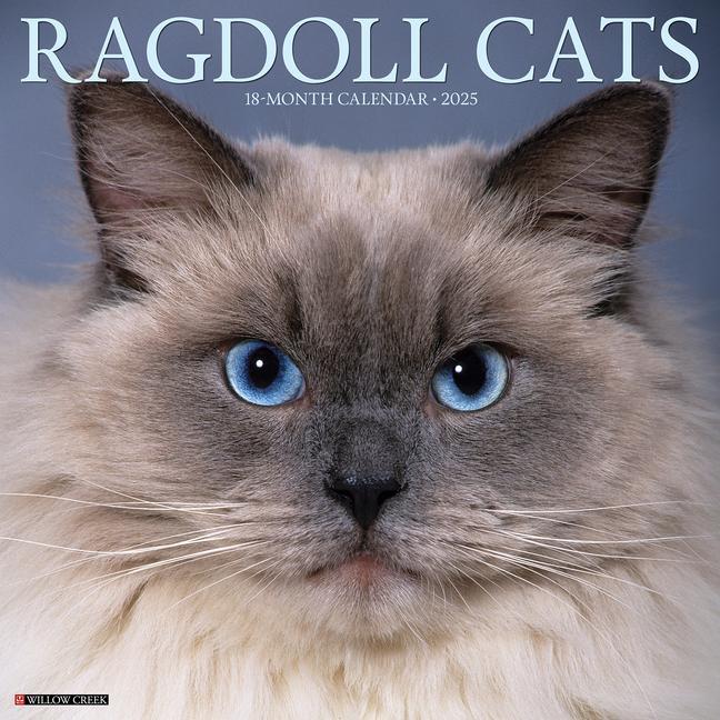 Cover: 9781549244612 | Ragdoll Cats 2025 12 X 12 Wall Calendar | Willow Creek Press | 2025