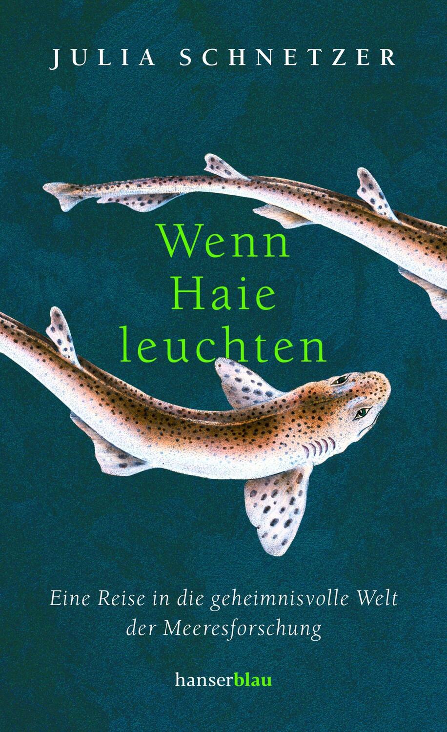 Cover: 9783446269477 | Wenn Haie leuchten | Julia Schnetzer | Buch | 284 S. | Deutsch | 2021