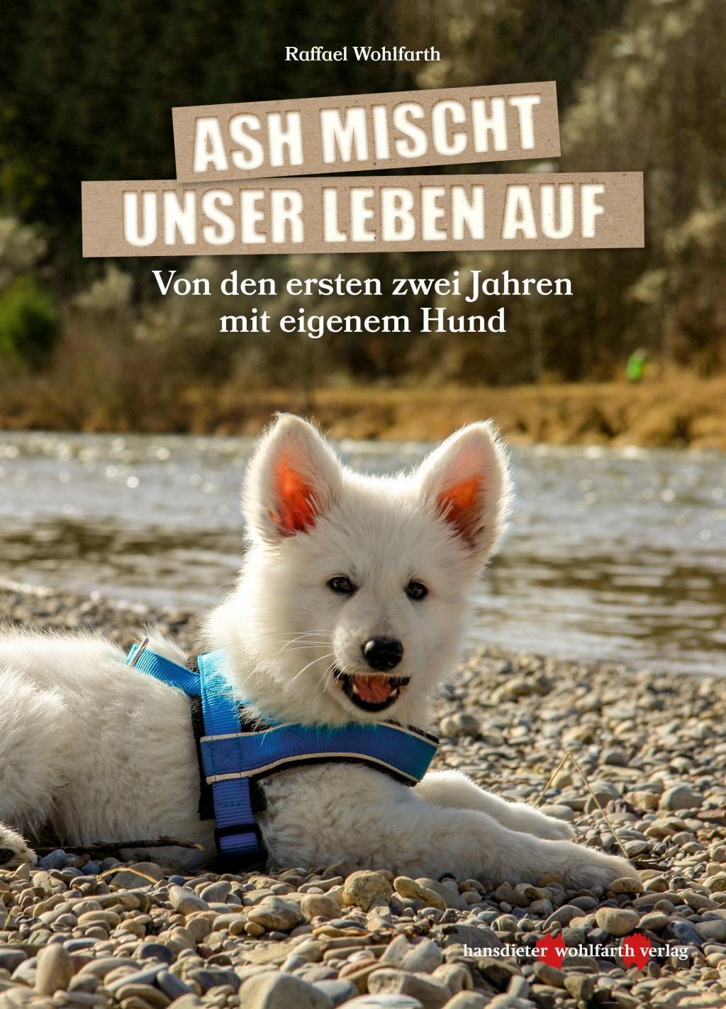 Cover: 9783947133024 | Ash mischt unser Leben auf! | Raffael Wohlfarth | Buch | Deutsch