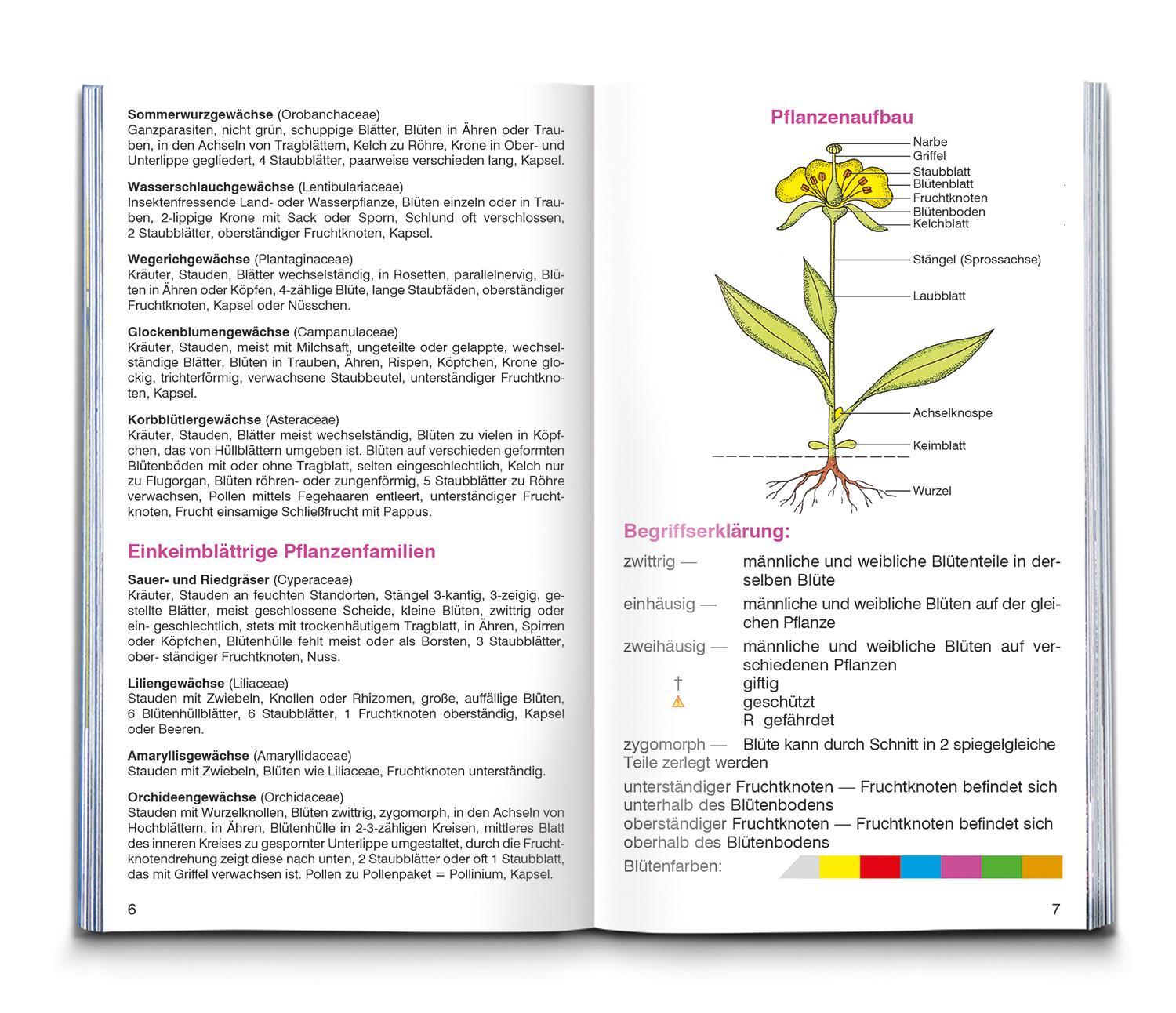 Bild: 9783991215387 | KOMPASS Naturführer Wiesenblumen | Christine Jaitner | Taschenbuch