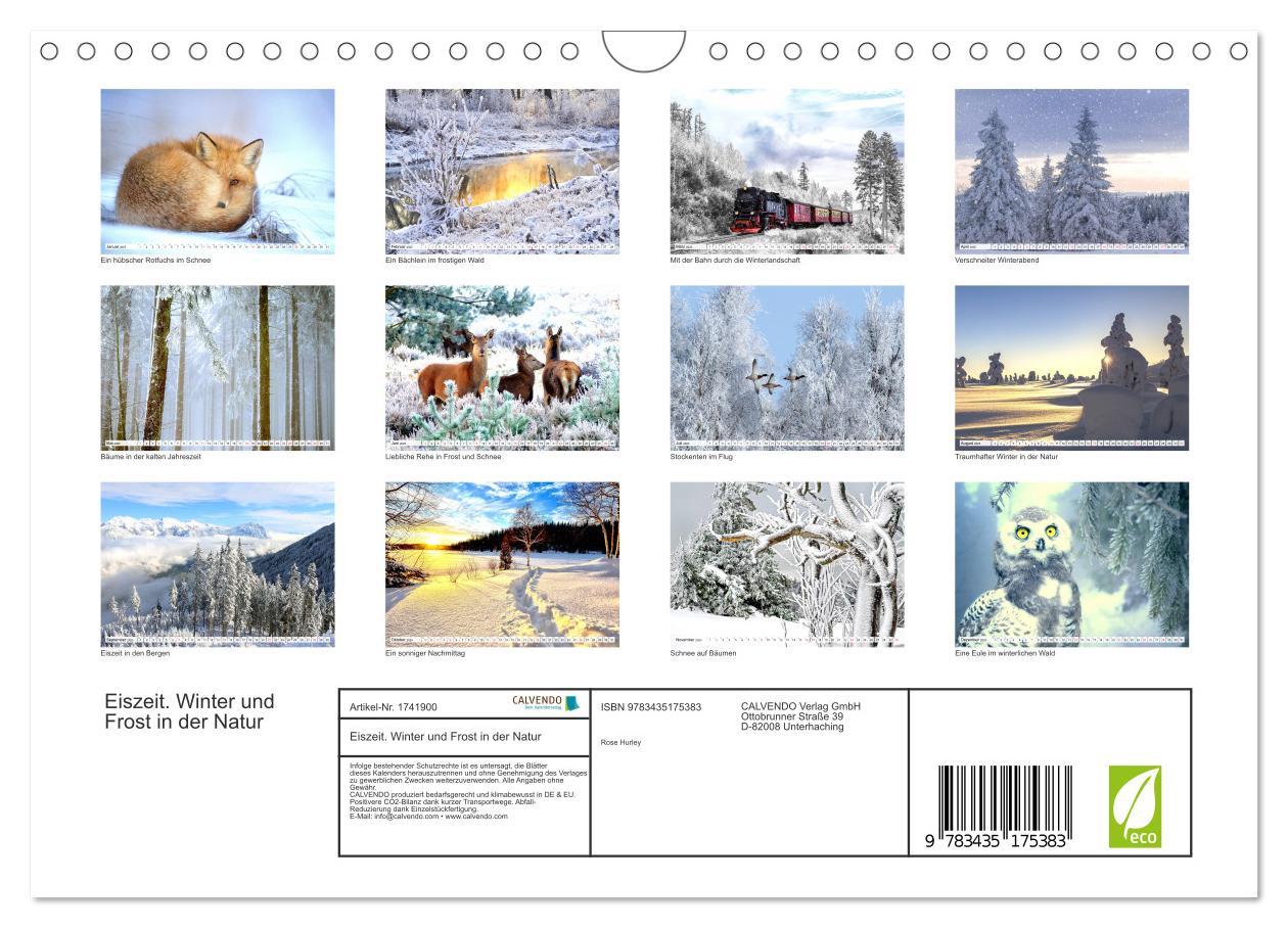 Bild: 9783435175383 | Eiszeit. Winter und Frost in der Natur (Wandkalender 2025 DIN A4...