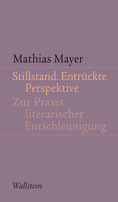 Cover: 9783835314429 | Stillstand. Entrückte Perspektive | Mathias Mayer | Taschenbuch | 2014