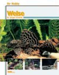 Cover: 9783931792756 | Ihr Hobby Welse | Jürgen Schmidt | Buch | Deutsch | 1998