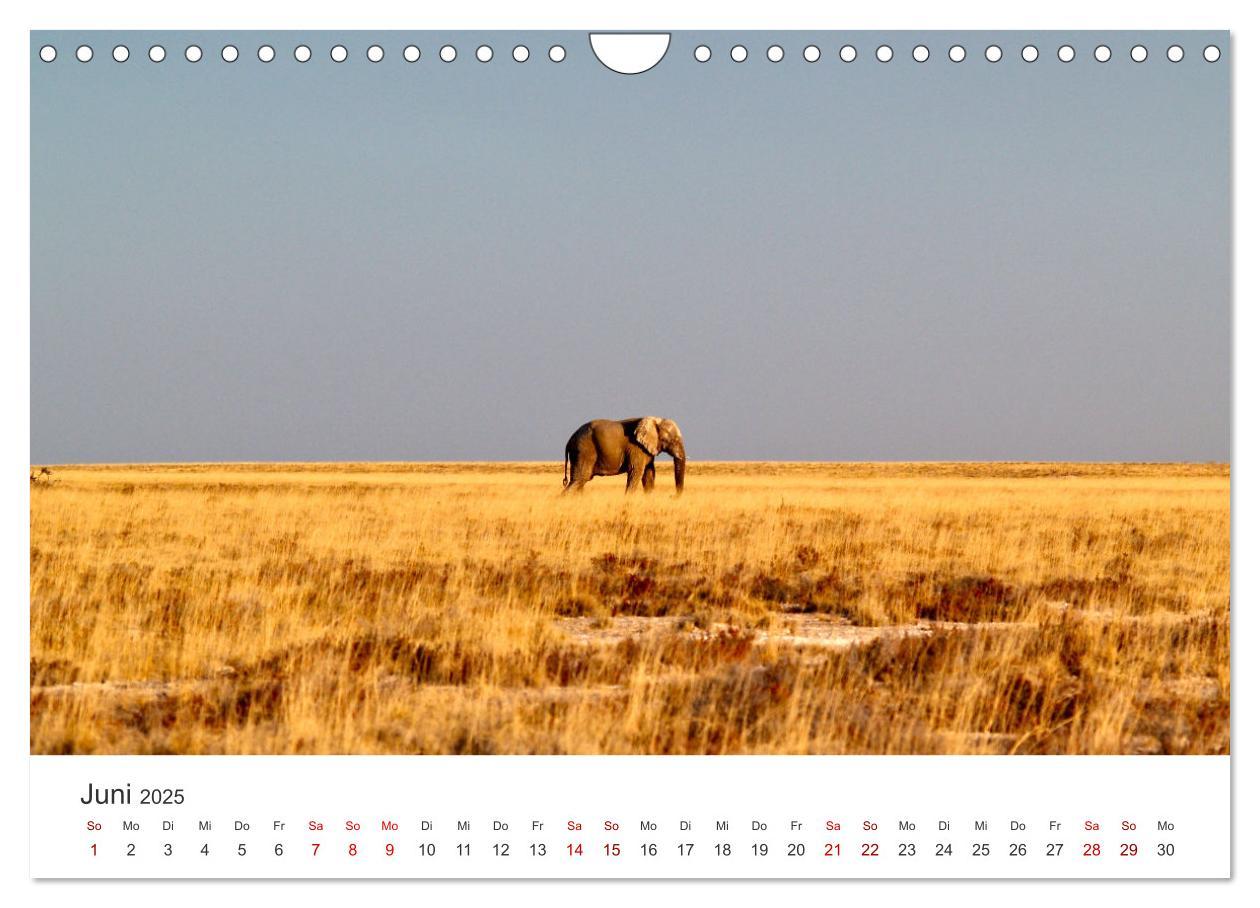 Bild: 9783383977220 | Namibia - Ein Paradies auf Erden. (Wandkalender 2025 DIN A4 quer),...