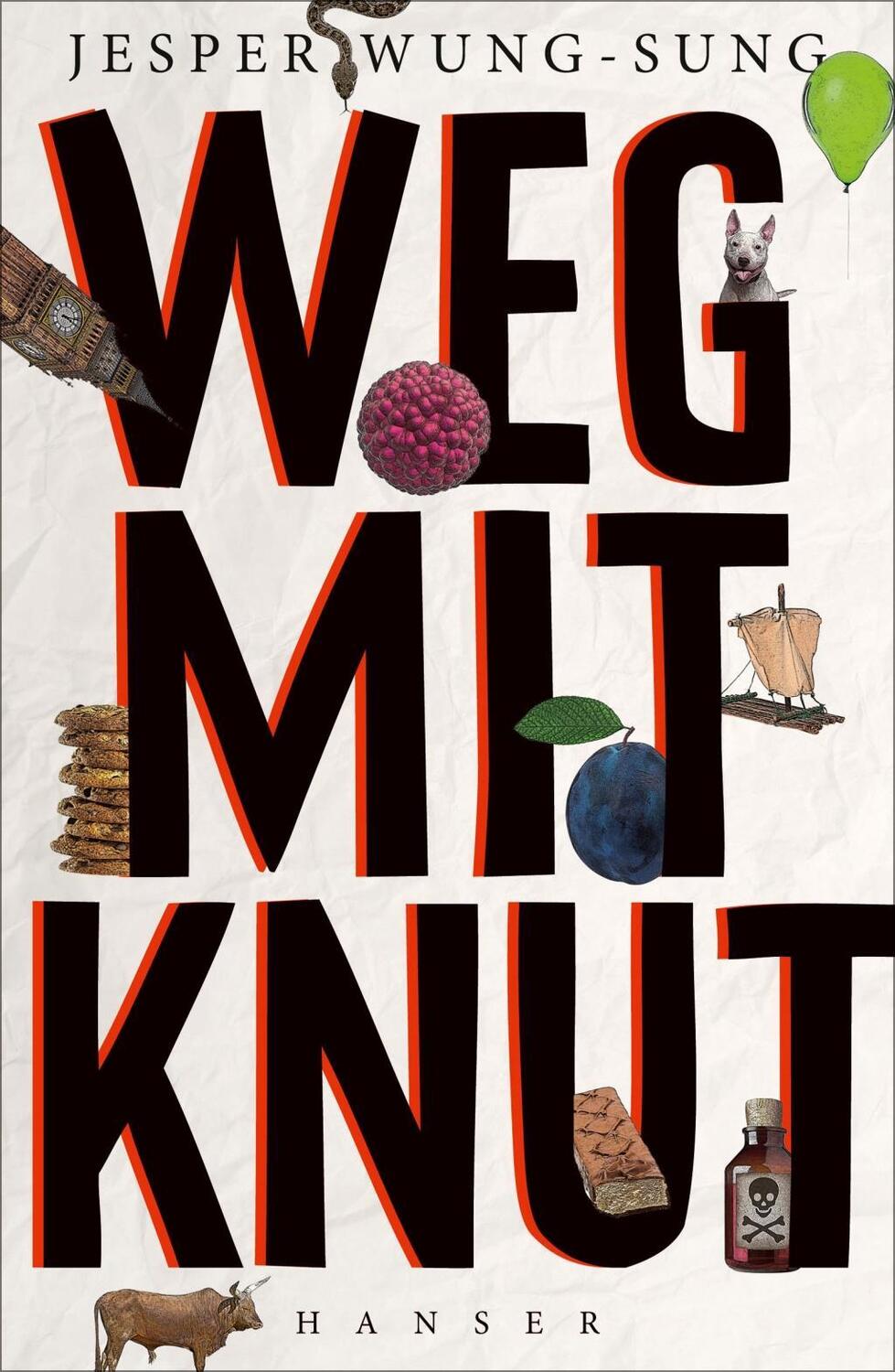 Cover: 9783446254954 | Weg mit Knut! | Jesper Wung-Sung | Buch | 224 S. | Deutsch | 2017